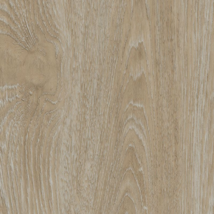 Plakplint Scarlet Oak Beige - 240cm